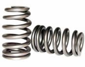 Valve springs